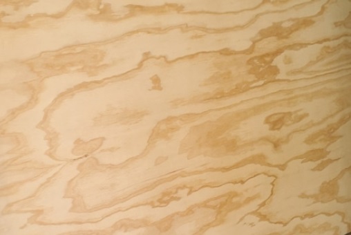 아라우코 합판(Arauco Plywood)